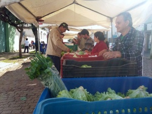 feira hortifruti (2)