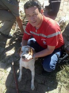 11100_593074890797788_3119503417644859133_n