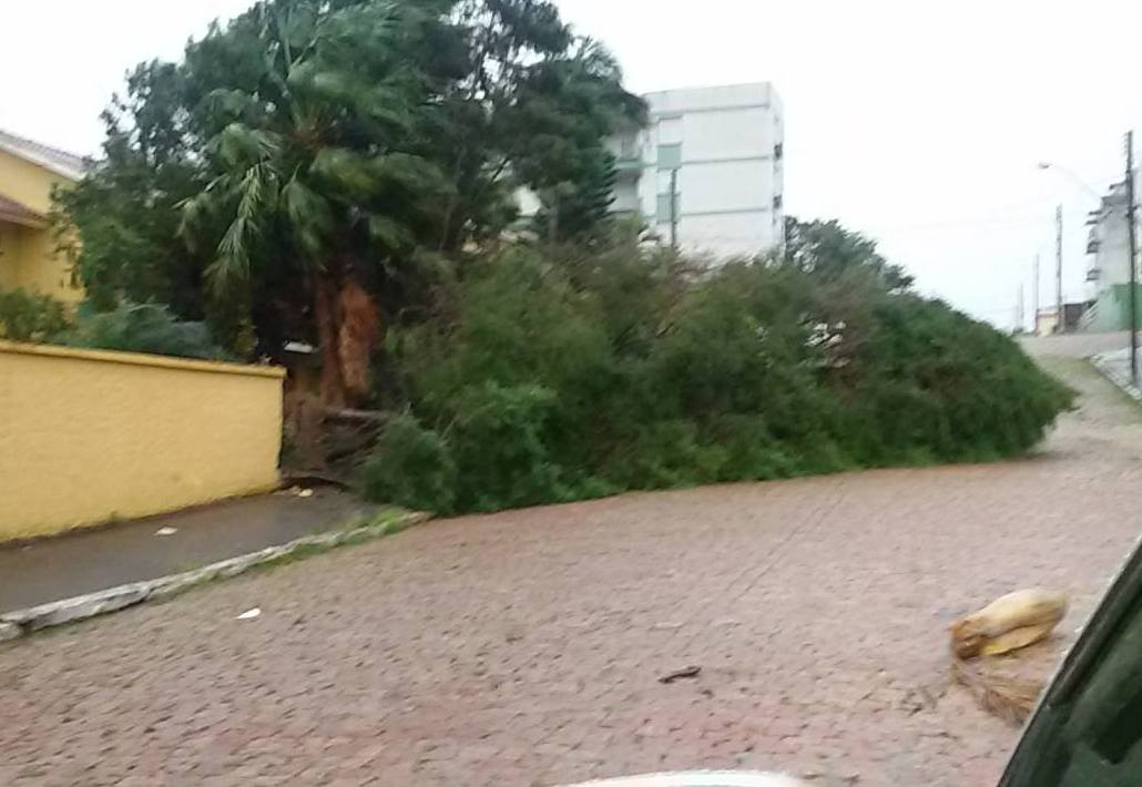 Após 120mm de chuva, vários pontos de São Sepé ainda permanecem sem energia elétrica
