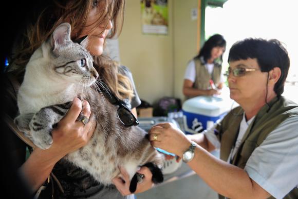 Pet shops terão que manter veterinário para inspeções diárias