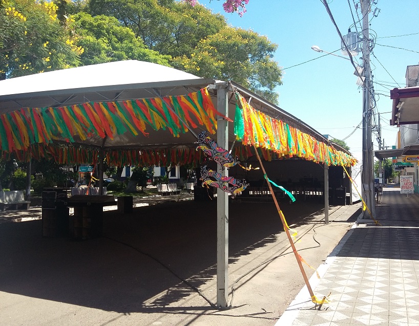 carnaval 2015 (6)