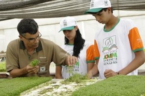 sao sepe senar jovem aprendiz