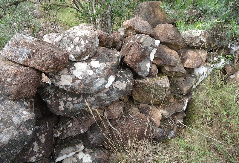 cavalgada ecologica (1)