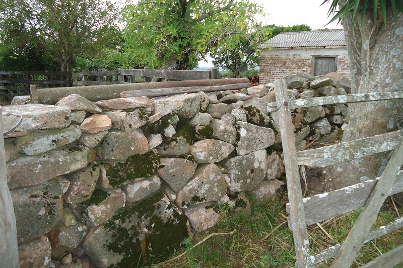cavalgada ecologica (2)