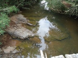 cavalgada ecologica (3)