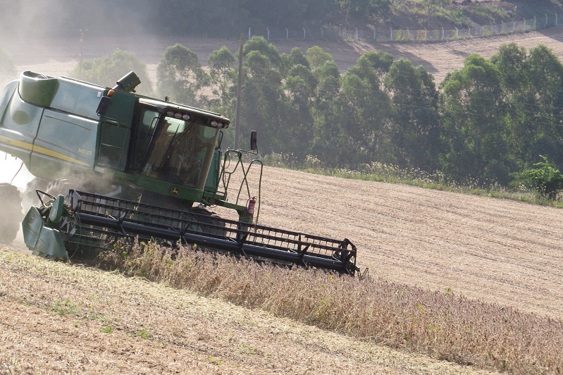 colheita da soja