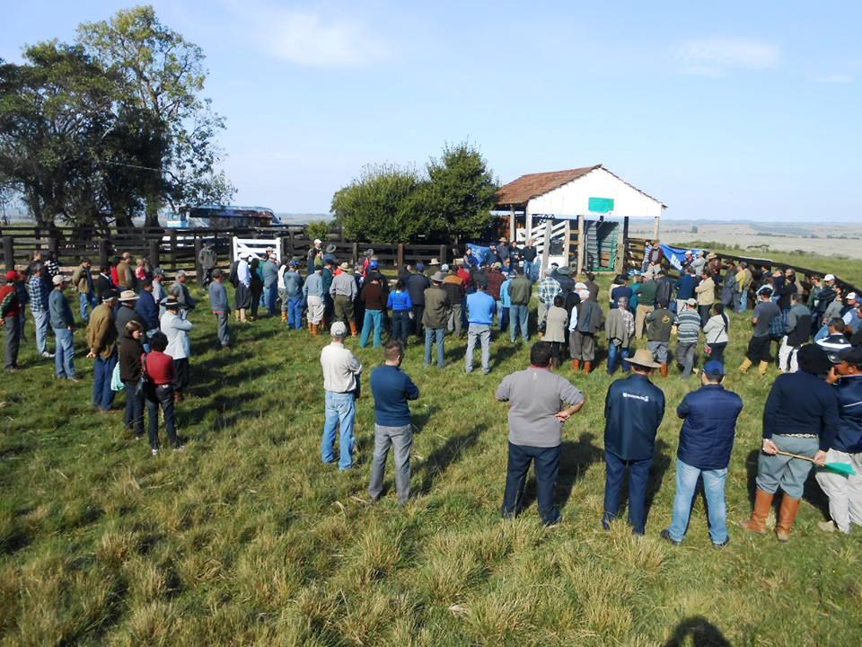 Centro de Manejo (2)