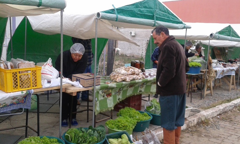 feira dia das maes vila nova do sul emater