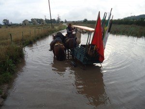 cavalgada chama crioula 4