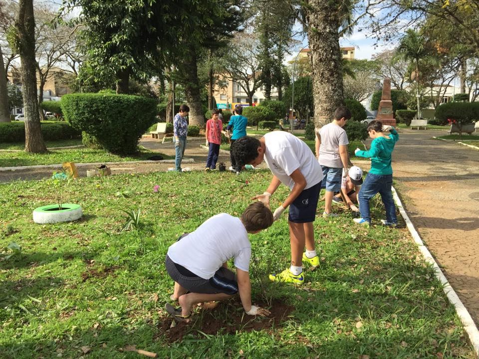 maju arvores praca (2)