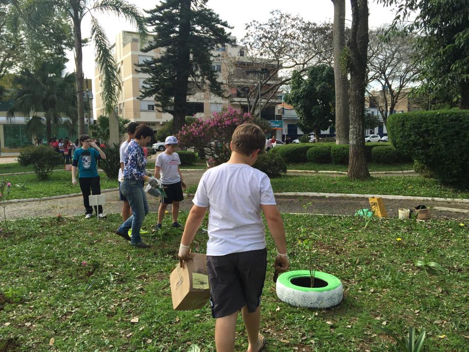 maju arvores praca (4)