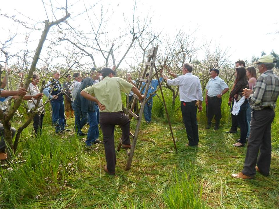 seminario fruticultura emater vila nova (1)