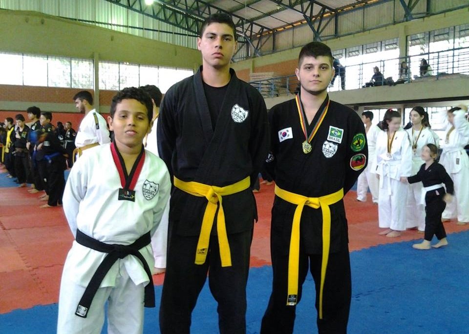 hapkido taekwondo