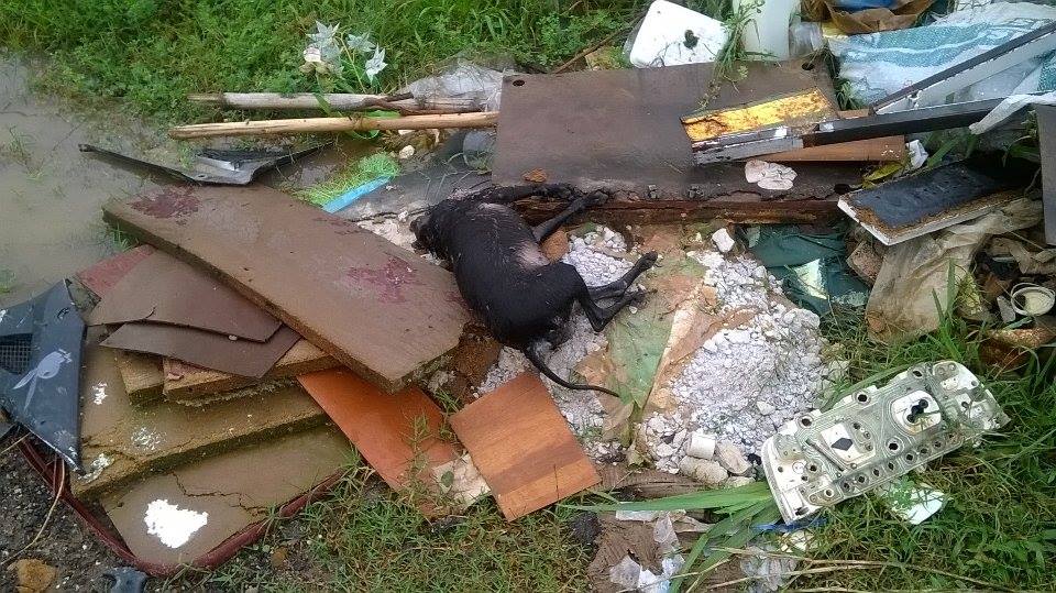 lixo bairro sao cristovao (1)