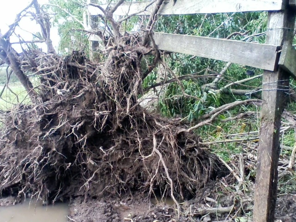 temporal vila block 2015 glenio campos (15)