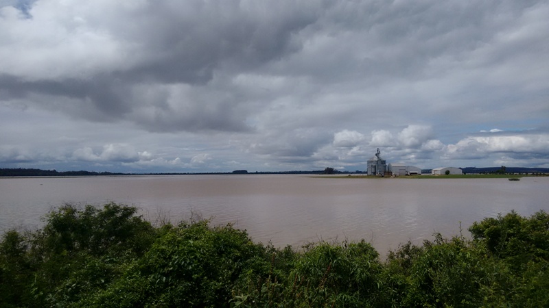 Sindicato Rural de São Sepé aponta perdas nas lavouras de arroz e soja