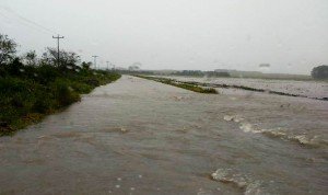 12107156_800916223387495_9050870277279996135_n-2