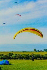 _MG_9419-2