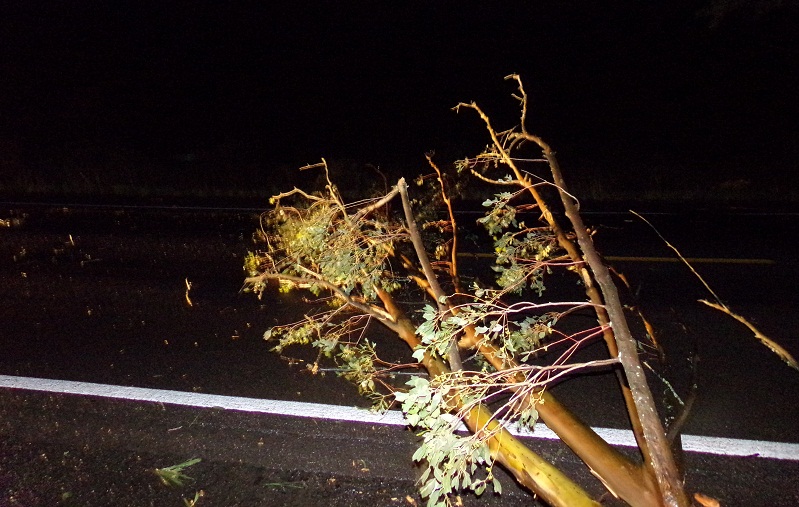 KODAK Digital Still Camera