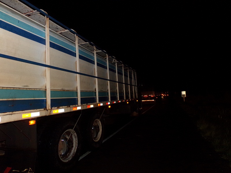 KODAK Digital Still Camera