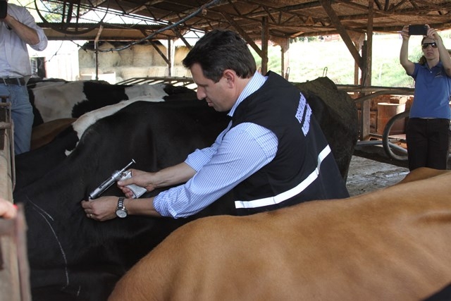 aftosa novembro foto gabriel munhoz