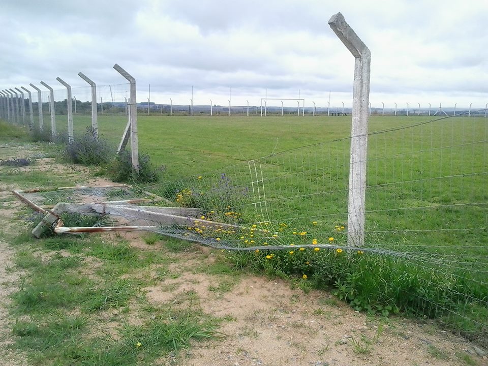 vandalismo campo estadio vila nova 3