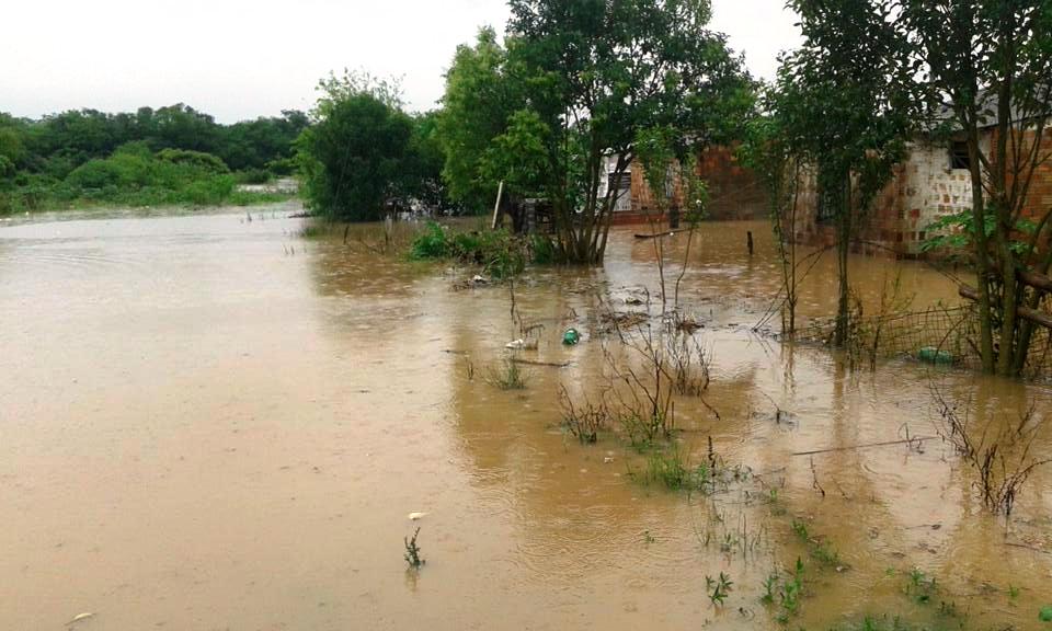 1913892_878854842221551_85924441793997883_n