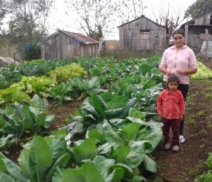 brasil sem miseria emater (3)