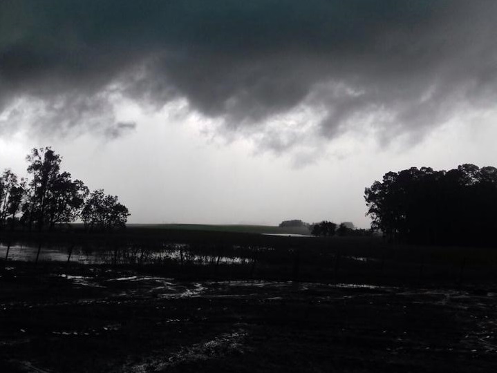 chuva dezembro 2015 (1)