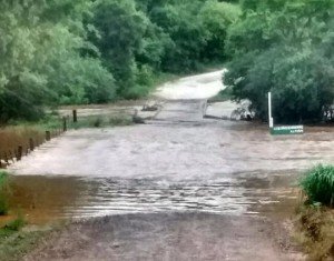 chuva dezembro 2015 (3)