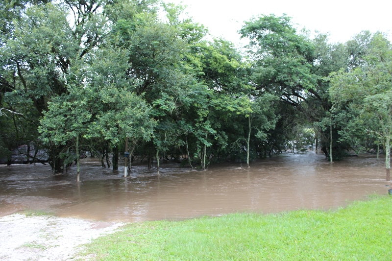 chuva dezembro 2015 (74)