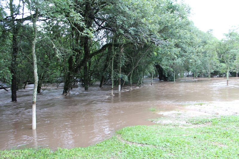 chuva dezembro 2015 (77)