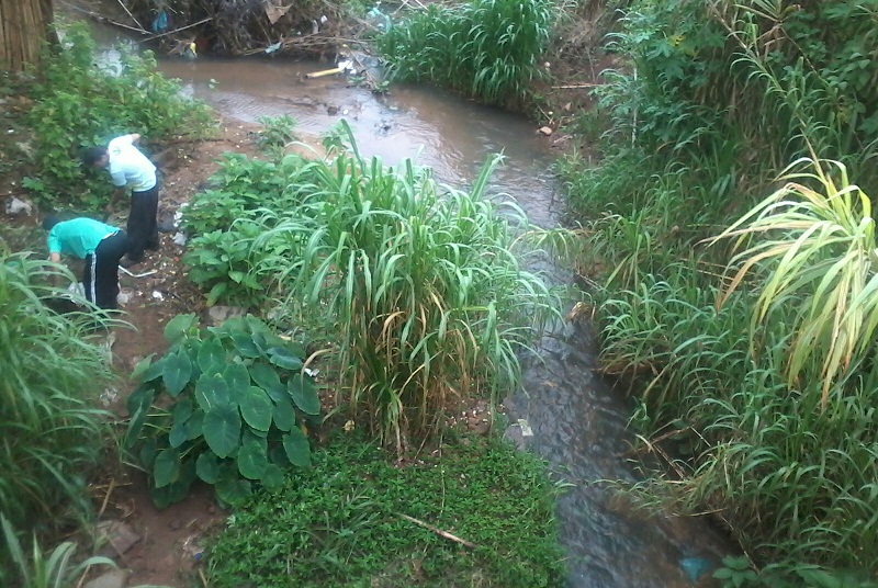 lixo bairro santos mutirao (2)