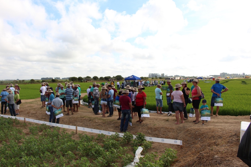 Produtores de São Sepé participaram de Dia de Campo em Cachoeira do Sul
