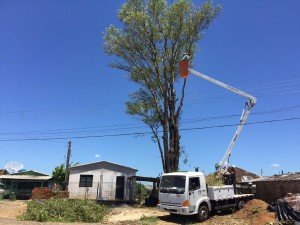 259a067d-a1ff-4452-a3a0-594948122084