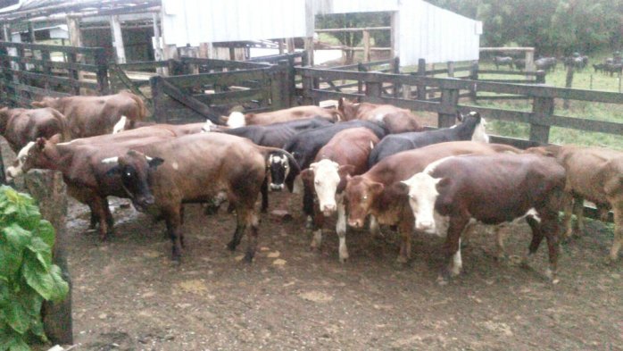 834d23e2201a0ca5730f2c9365057505