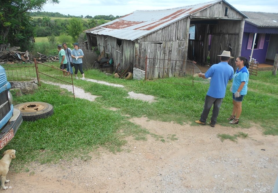 formigueiro dengue 2