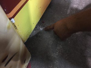 IMG_3960