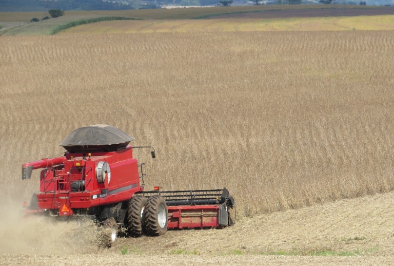 Colheita dos grãos de verão revela boas produtividades no RS
