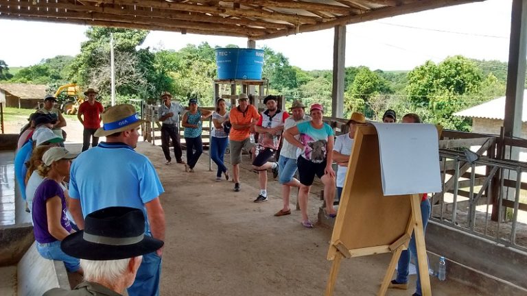 Dia de Campo na localidade da Mata Grande vai abordar bovinocultura de leite