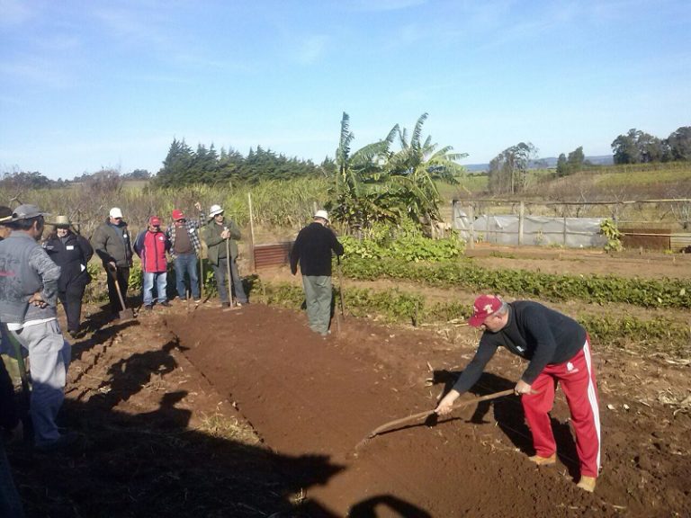 Emater e Senar promoveram curso de produção de hortaliças em Vila Nova do Sul