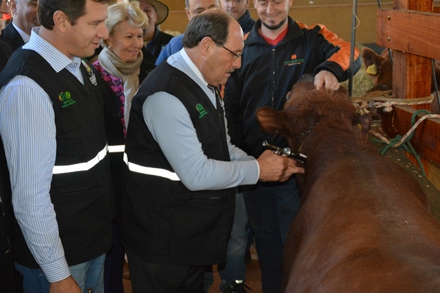 aftosa 2016 Foto Alexandre Farina