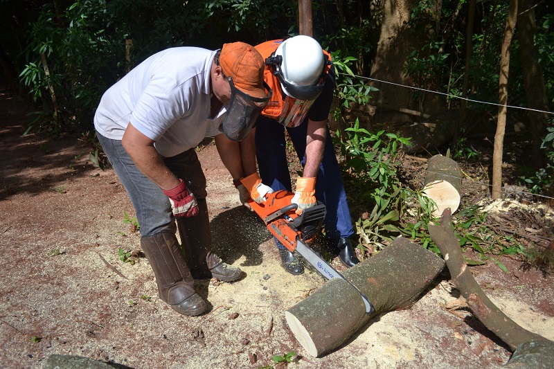 Foto: reprodução/Mais Ourinhos