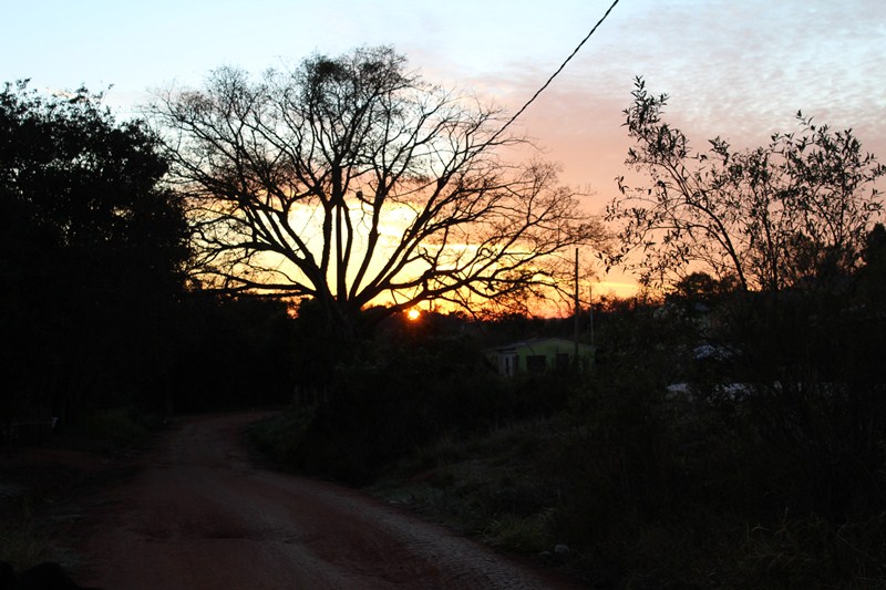 GEADA 2016 (5)