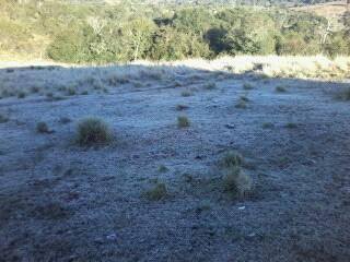 geada (1)