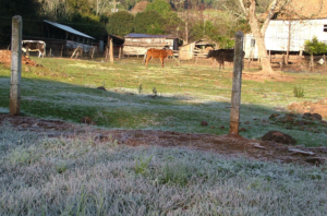 Foto: Rodrigo Fernandes