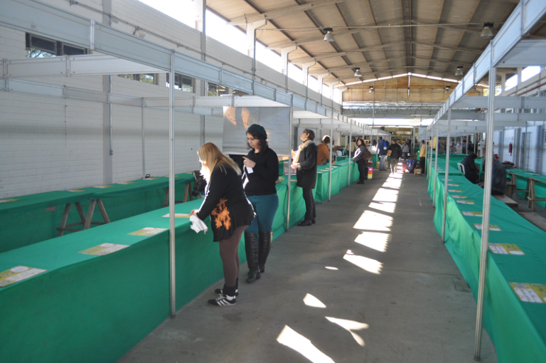 Expositores iniciam montagem dos estandes na 23ª Feira de Economia Solidária