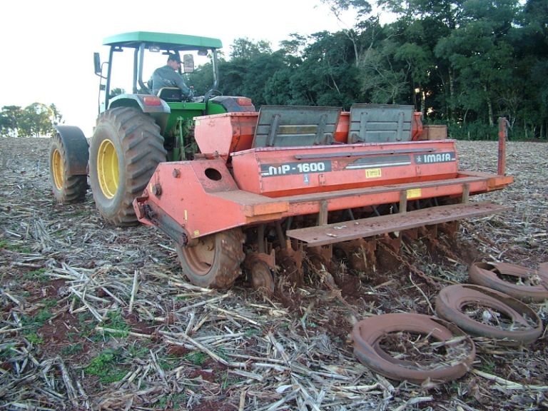 Baixa umidade do solo causa transtornos aos produtores de trigo do RS