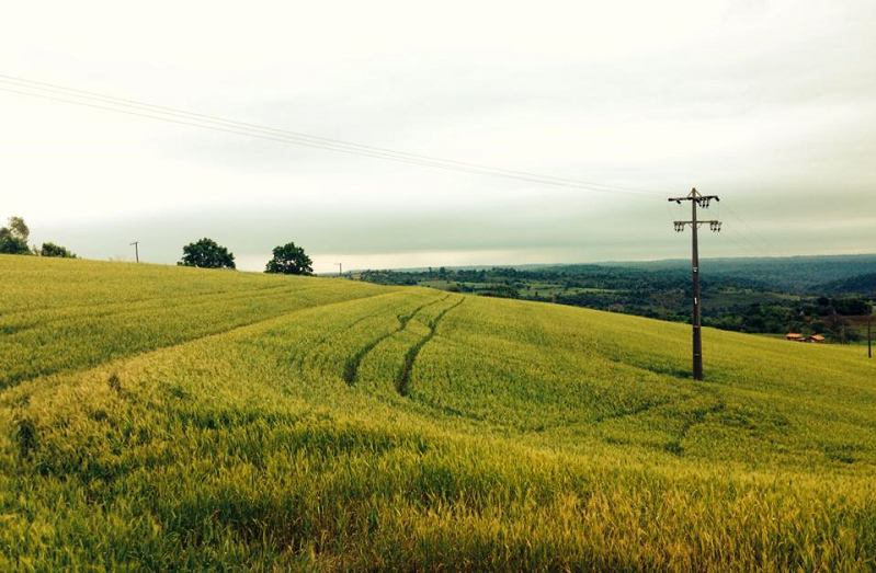 Foto: Gabriela Miranda