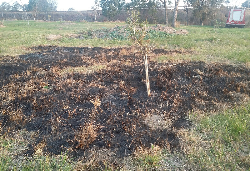 bombeiros parque ambiental 2
